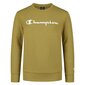 Džemper champion legacy crewneck sweatshirt 305905gs092 цена и информация | Poiste kampsunid, vestid ja jakid | kaup24.ee