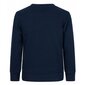 Džemper champion crewneck sweatshirt 305951bs538 цена и информация | Poiste kampsunid, vestid ja jakid | kaup24.ee