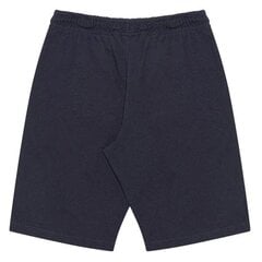 SHORTS CHAMPION LEGACY BERMUDA 306027BS501 цена и информация | Шорты для мальчиков | kaup24.ee