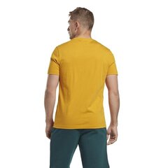 T-särk reebok ri big loto tee hj9967 цена и информация | Мужские футболки | kaup24.ee