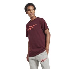 T-särk reebok ri logo tee hr9029 цена и информация | Мужские футболки | kaup24.ee