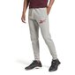 Sweatpüksid reebok ri logo jogger hr9157 hind ja info | Meeste spordiriided | kaup24.ee