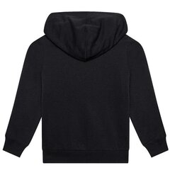 HOODIE CHAMPION LEGACY HOODED SWEATSHIRT 305916KK001 цена и информация | Свитеры, жилетки, пиджаки для мальчиков | kaup24.ee