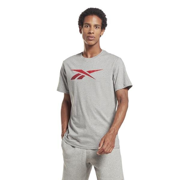 T-särk reebok ri logo tee hr9032 цена и информация | Meeste T-särgid | kaup24.ee