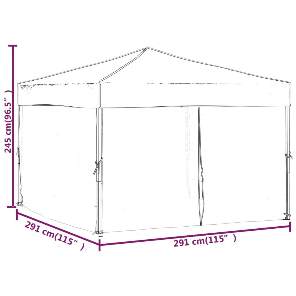 vidaXL kokkupandav peotelk seintega, antratsiithall, 3 x 3 m hind ja info | Varikatused ja aiapaviljonid | kaup24.ee