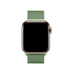 Milanese Loop – Roheline 42/44/45mm hind ja info | Nutikellade ja nutivõrude tarvikud | kaup24.ee