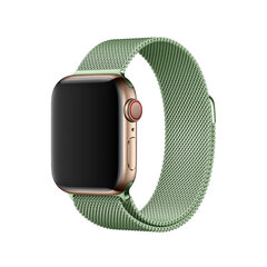 Milanese Loop – Roheline 42/44/45mm hind ja info | Nutikellade ja nutivõrude tarvikud | kaup24.ee