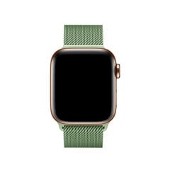 Milanese Loop – Roheline 38/40/41mm hind ja info | Nutikellade ja nutivõrude tarvikud | kaup24.ee