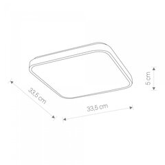 LED-laevalgusti Nowodvorski Agnes Square 8112, valge hind ja info | Laelambid | kaup24.ee