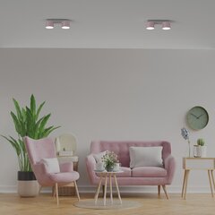 Потолочный светильник DIXIE розовый/белый 2xGX53 цена и информация | Потолочные светильники | kaup24.ee
