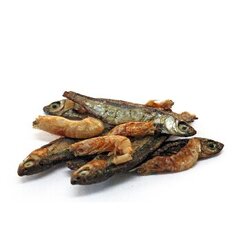 Prodac Tartafood Mix kala ja krevetid kilpkonnadele, 1200ml, 200g. hind ja info | Eksootiliste loomade toit | kaup24.ee