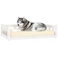vidaXL koeravoodi, valge, 105,5 x 75,5 x 28 cm, männipuit hind ja info | Pesad, padjad | kaup24.ee