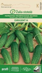 Harilik lühiviljaline kurk Dirigent H цена и информация | Семена овощей, ягод | kaup24.ee