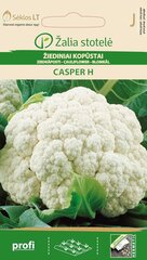 Lillkapsas Casper H цена и информация | Семена овощей, ягод | kaup24.ee