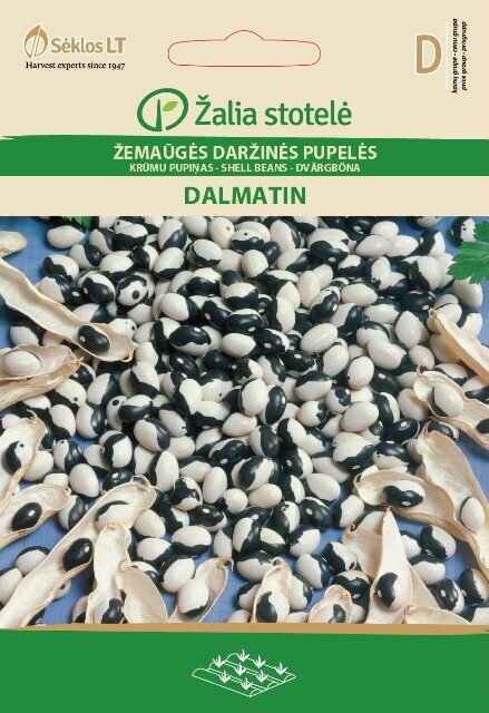Kääbusaia oad Dalmatiin hind ja info | Köögivilja-, marjaseemned | kaup24.ee