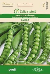 Herned Avola цена и информация | Семена овощей, ягод | kaup24.ee