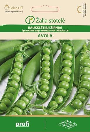 Herned Avola цена и информация | Köögivilja-, marjaseemned | kaup24.ee