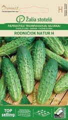 Tavalised lühiviljalised kurgid Rodničiok Natur H цена и информация | Семена овощей, ягод | kaup24.ee