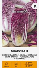 Hiina kapsas Scarvita H цена и информация | Семена овощей, ягод | kaup24.ee