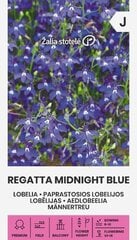 Aedlobeelia regatta midnight blue hind ja info | Lilleseemned | kaup24.ee