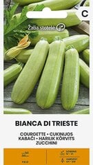 Suvikõrvits Bianca Di Trieste цена и информация | Семена овощей, ягод | kaup24.ee