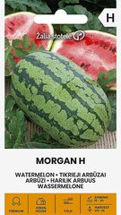 Arbuusid Morgan H цена и информация | Семена овощей, ягод | kaup24.ee