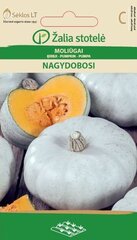 Kõrvits Nagydobosi цена и информация | Семена овощей, ягод | kaup24.ee