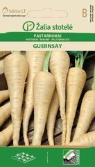 Pastinaak Guernsey цена и информация | Семена овощей, ягод | kaup24.ee