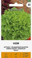 Seemnesalat Vizir цена и информация | Семена овощей, ягод | kaup24.ee
