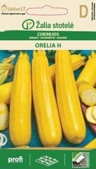 Suvikõrvits Orelia H hind ja info | Köögivilja-, marjaseemned | kaup24.ee