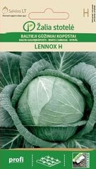 Valge kapsas Lennox H цена и информация | Семена овощей, ягод | kaup24.ee
