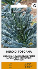 Lehtkapsas Nero Di Toscana цена и информация | Семена овощей, ягод | kaup24.ee