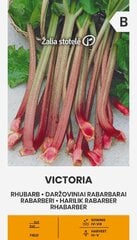 Köögiviljade rabarber Victoria цена и информация | Семена овощей, ягод | kaup24.ee