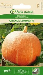 Kõrvits Orange Summer H цена и информация | Семена овощей, ягод | kaup24.ee