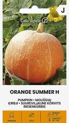 Kõrvits Orange Summer H цена и информация | Семена овощей, ягод | kaup24.ee