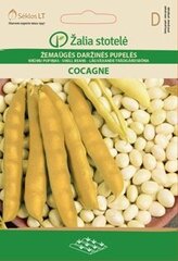 Kääbus rohelised oad Cocagne цена и информация | Семена овощей, ягод | kaup24.ee