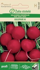 Harilik arbuus mini love h цена и информация | Семена овощей, ягод | kaup24.ee