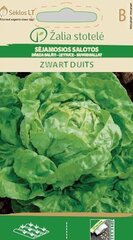 Салат посевной Zwart Duits цена и информация | Семена овощей, ягод | kaup24.ee