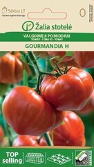 Söödavad tomatid Gourmandia H цена и информация | Семена овощей, ягод | kaup24.ee