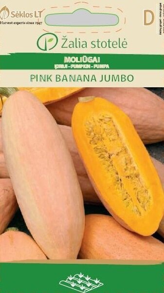 Kõrvits Pink Banana Jumbo цена и информация | Köögivilja-, marjaseemned | kaup24.ee