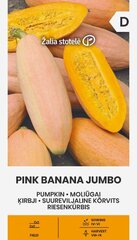 Kõrvits Pink Banana Jumbo цена и информация | Семена овощей, ягод | kaup24.ee