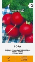 Пищевой редис Sora цена и информация | Семена овощей, ягод | kaup24.ee