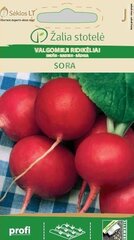 Пищевой редис Sora цена и информация | Семена овощей, ягод | kaup24.ee