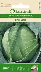 Valge kapsas Ramco H цена и информация | Семена овощей, ягод | kaup24.ee