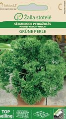 Aedpetersell Grüne Perle hind ja info | Köögivilja-, marjaseemned | kaup24.ee