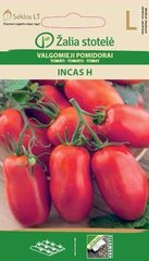 Söödavad tomatid Incas H hind ja info | Köögivilja-, marjaseemned | kaup24.ee