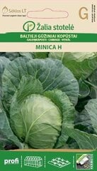 Valge kapsas Minica H цена и информация | Семена овощей, ягод | kaup24.ee