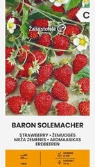 Maasikad Baron Solemacher цена и информация | Семена овощей, ягод | kaup24.ee