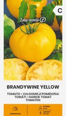 Tomatid Brandywine Yellow цена и информация | Семена овощей, ягод | kaup24.ee