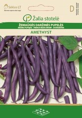 Kääbus uba Amethyst цена и информация | Семена овощей, ягод | kaup24.ee